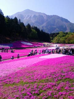 鷺ノ宮周辺（中野区・練馬区）のマッサージサロン（出張マッサージ）ｗｉｓｈｔｉｍｅは子供同伴ＯＫ・女性専用